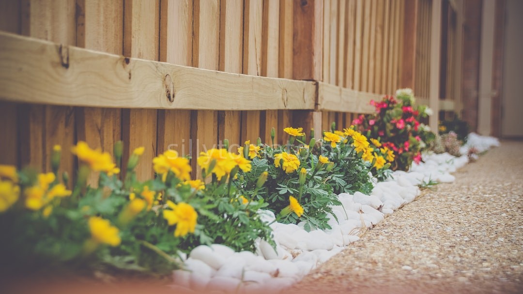 Luxury Garden Design