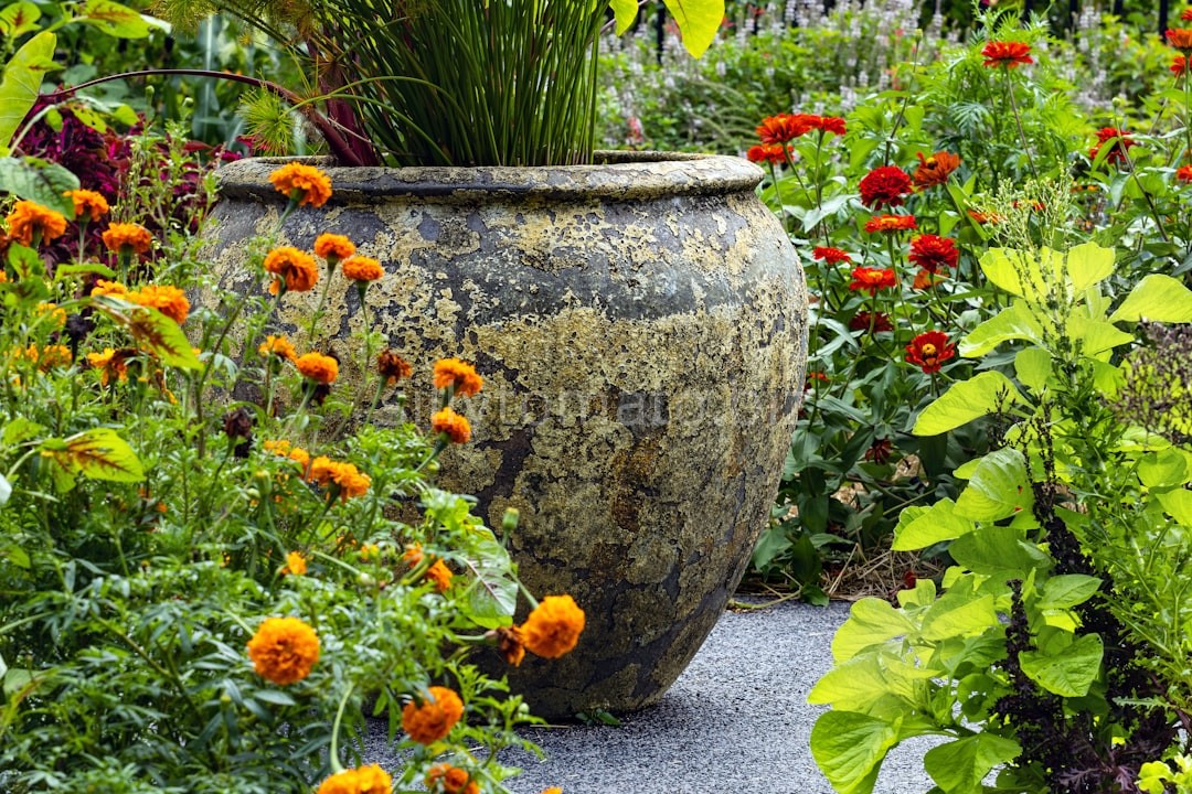 Garden 2