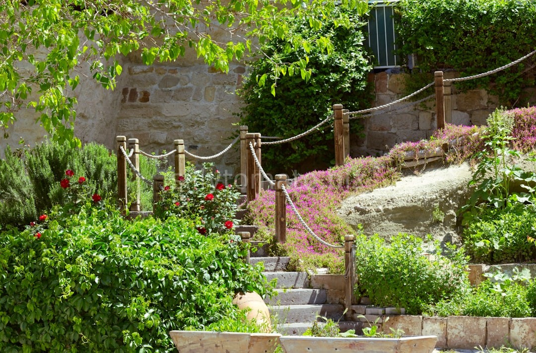 Garden 1