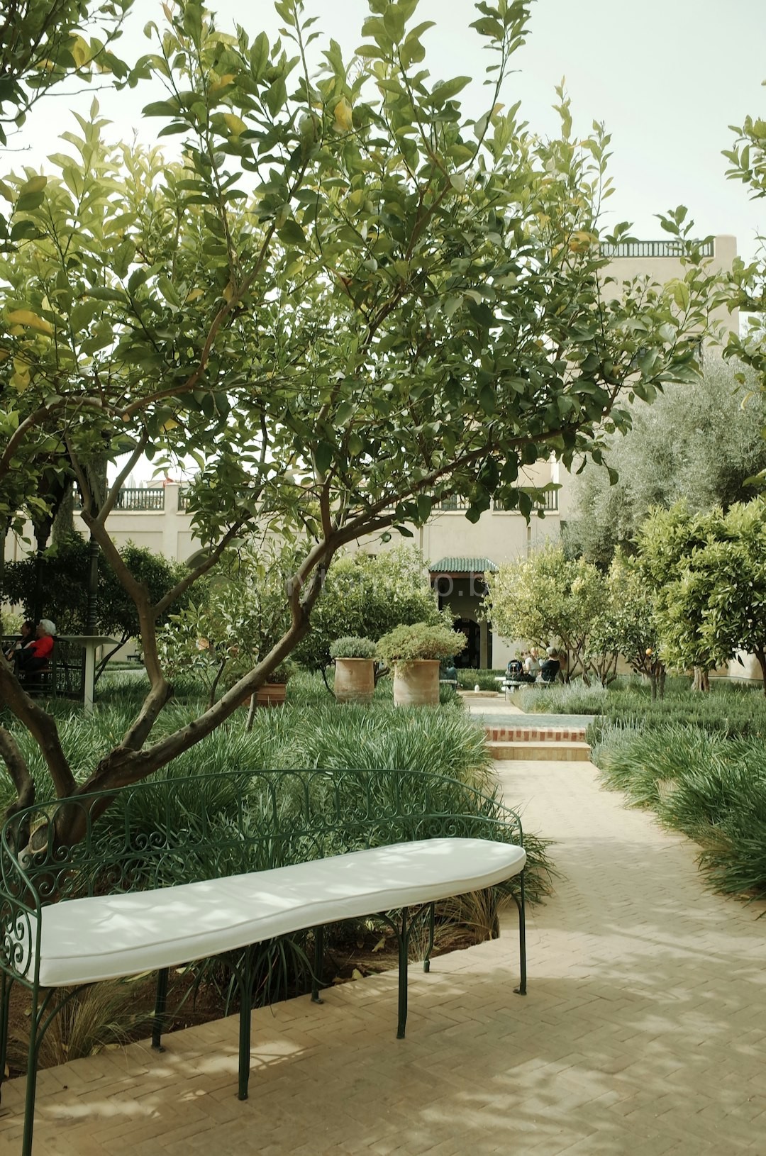 Lush Garden Design